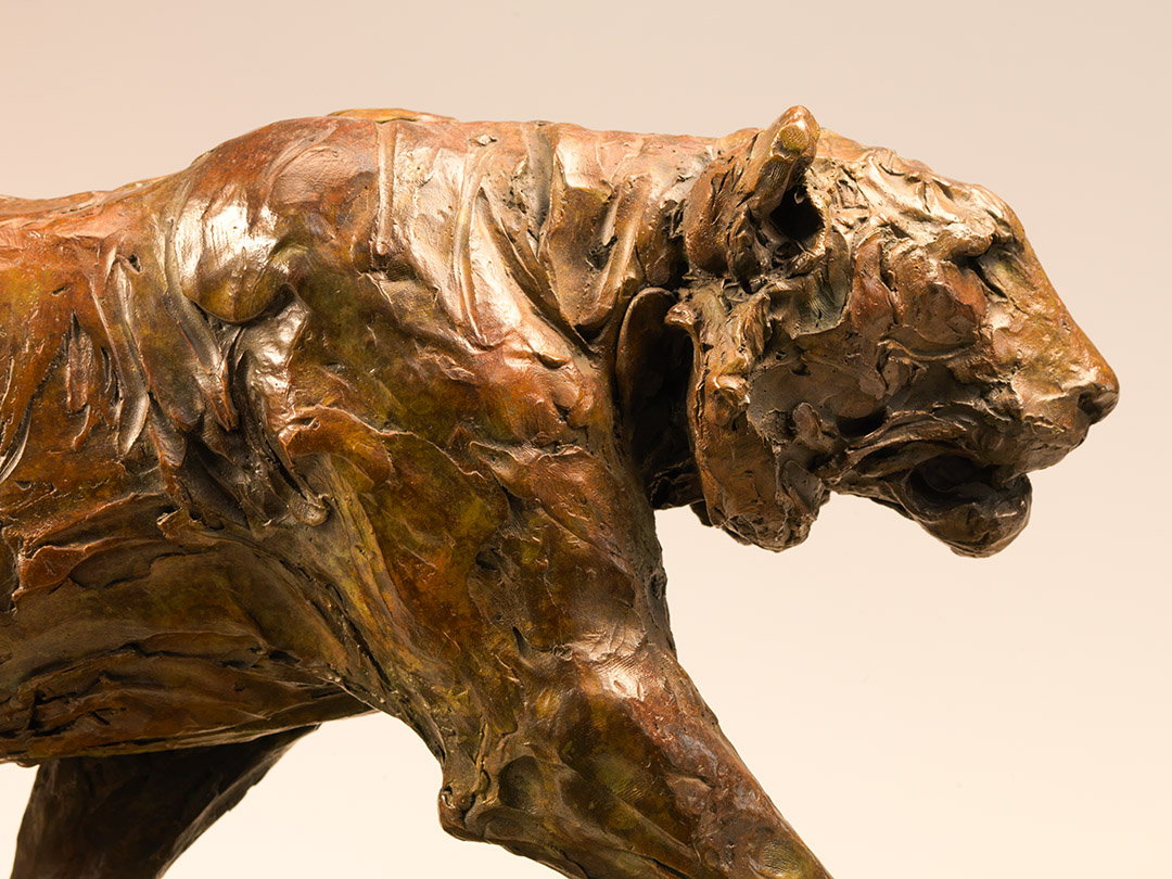 Prowling Tiger Detail Thumbnail